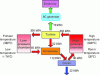 Figure 22 - Heat withdrawal phase for conversion into electricity