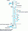 Figure 5 - Intermediate cooling of the main refrigerant stream before Joule-Thomson expansion