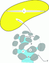 Figure 5 - Two-phase flow in porous media