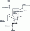Figure 18 - LFD reactor for pressurized gasification of waste (HTW principle)
