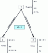 Figure 2 - Diagram of constant pressure and constant volume combustions