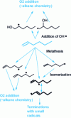 Figure 15 - Main reactions involved in 1-hexene oxidation at low temperature 