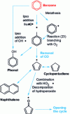Figure 16 - Main reactions involved in benzene oxidation 