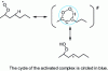 Figure 12 - Example of intramolecular isomerization in the case of a peroxyalkyl radical (ROO•) formed during the oxidation of n-heptane