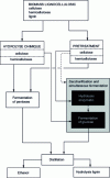 Figure 17 - Process diagram for ethanol production [28].