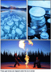 Figure 22 - Methane emission in Arctic wetlands [32] [33].