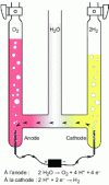 Figure 1 - Principle of electrolysis