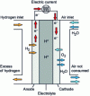 Figure 4 - SOFC cell operating diagram