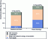 Figure 4 - Life cycle assessment of the greenhouse effect of wood for the production of 1 kWh of useful heat – Industrial boiler 2 MW without heat network