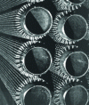Figure 23 - Tube with spikes