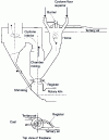 Figure 24 - RSP System [Onoda]