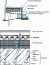 Figure 20 - Diagram of a cold water basin with intermediate recuperators