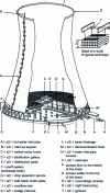 Figure 3 - Diagram of a wet, natural draft air-cooled cooling tower (doc. EDF – Hamon)