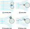 Figure 22 - Filtration mechanisms