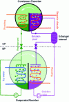 Figure 7 - Schematic diagram of a H2O-LiBr absorption liquid cooler.