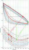 Figure 7 - Merkel diagram