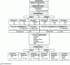 Figure 2 - Logical approach to plant selection