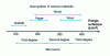 Figure 1 - Effects of radiation on different materials for times of less than a minute