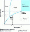 Figure 4 - Pressure-temperature equilibrium diagram with the three states of matter