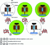 Figure 14 - Schematic diagram of an adiabatic demagnetizer