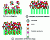 Figure 5 - Schematic representation of clogging in the BRM by soluble products and EPS (adapted from 50]).