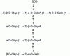 Figure 11 - Example of a marine exopolysaccharide repeating unit (deep hydrothermal source bacteria) [9] [10].