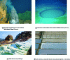 Figure 2 - Examples of extreme environments conducive to the isolation of extremophilic species