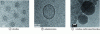 Figure 12 - Use of PHA in the form of micelles, polymersmes, multicompartment micelles (according to [24] [25])