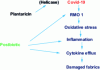 Figure 4 - Action of postbiotics on Covid-19 (according to [43] [44] [45])