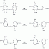 Figure 6 - Three main types of pectin activity (PME pectin methyl esterases, PMG pectin hydrolases, PTE pectin trans-eliminases or pectin lyases)