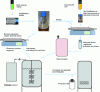 Figure 6 - Example of a production process using the baculovirus/insect cell system