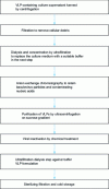 Figure 7 - Example of a VLP purification scheme for clinical tests