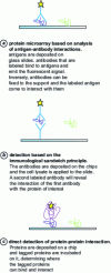 Figure 12 - Principle of protein biochips