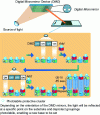 Figure 7 - How NimbleGen microarrays are made