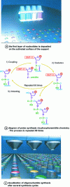 Figure 8 - General principle of Agilent chip production by in situ synthesis of oligonucleotides using an inkjet system