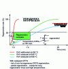 Figure 21 - Regeneration kinetics of the additivated (red) and catalyzed (blue at 630 °C and green at 650 °C) particulate filter [16].