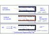 Figure 23 - Diagrams of the three types of particulate filter