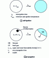 Figure 8 - Schematic description of the various combustion processes