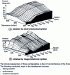 Figure 10 - Advance maps [7]