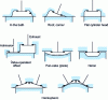 Figure 2 - Combustion chamber shapes [2]