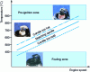 Figure 3 - Thermal index: compromise between pre-ignition and fouling