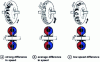 Figure 17 - Vortex circulation as a function of impeller-turbine speed difference