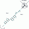 Figure 20 - Crankshaft arrangement with 30° offset crankpins