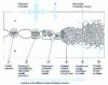 Figure 1 - Mechanism of fretting corrosion