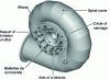 Figure 14 - View of a Francis turbine's sluice ring and guideway control (doc. Alstom)