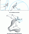 Figure 3 - Flow in a three-dimensional vane grid