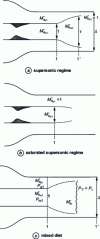 Figure 11 - Diagram of the different regimes in a gas/gas ejector with cylindrical mixer [6]