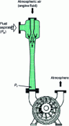 Figure 26 - Air-jet pump/liquid ring pump assembly (GEA Wiegand doc.)