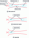 Figure 6 - Diagram of the different flow regimes in a gas/gas ejector