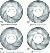 Figure 3 - Visualization of two-phase mixing inside a centrifugal impeller